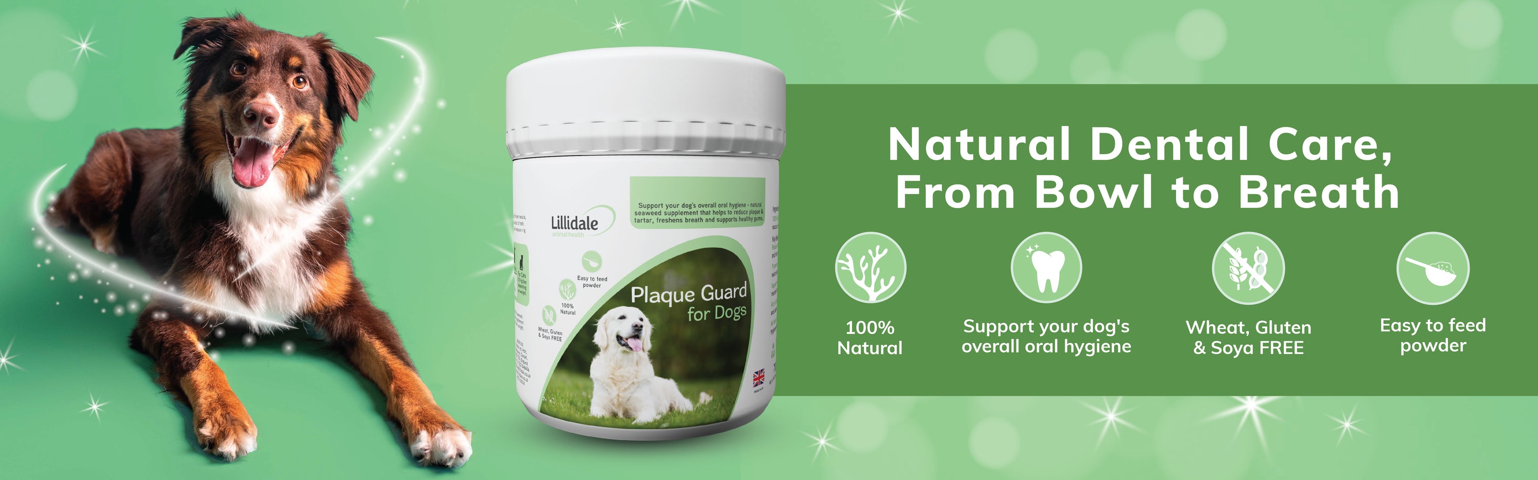 Lillidale Plaque Guard