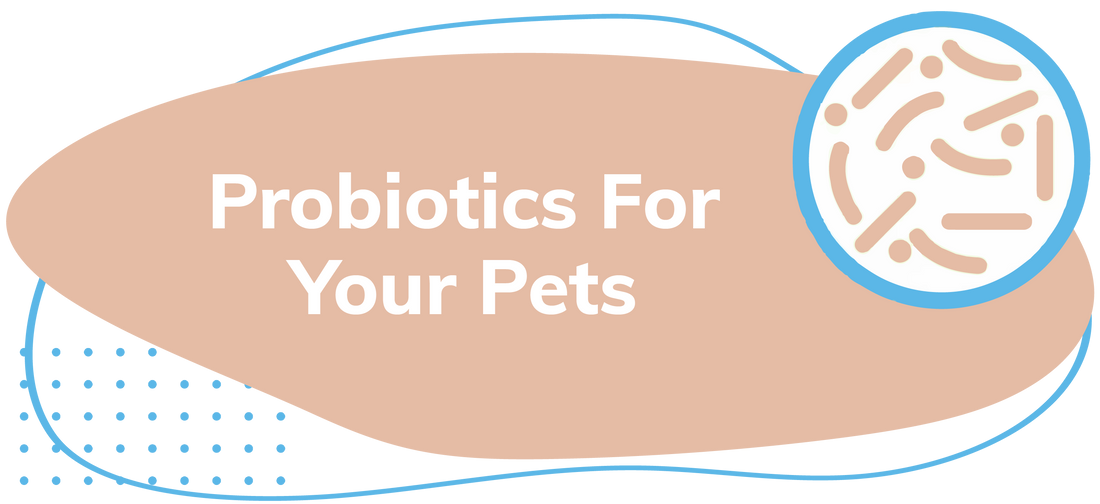 Lillidale Probiotics for Your Pets