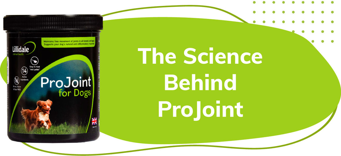 Lillidale - The Science Behind ProJoint