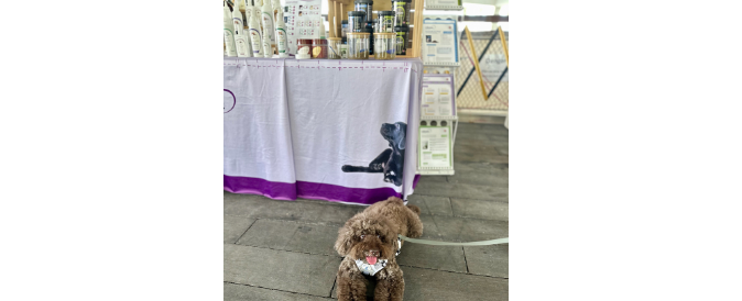 Lillidale Animal Health @ The Pawfect Journey Mid Autumn Pet Festival