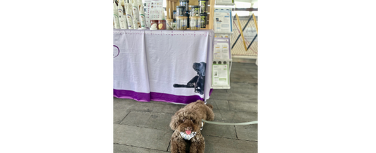 Lillidale Animal Health @ The Pawfect Journey Mid Autumn Pet Festival