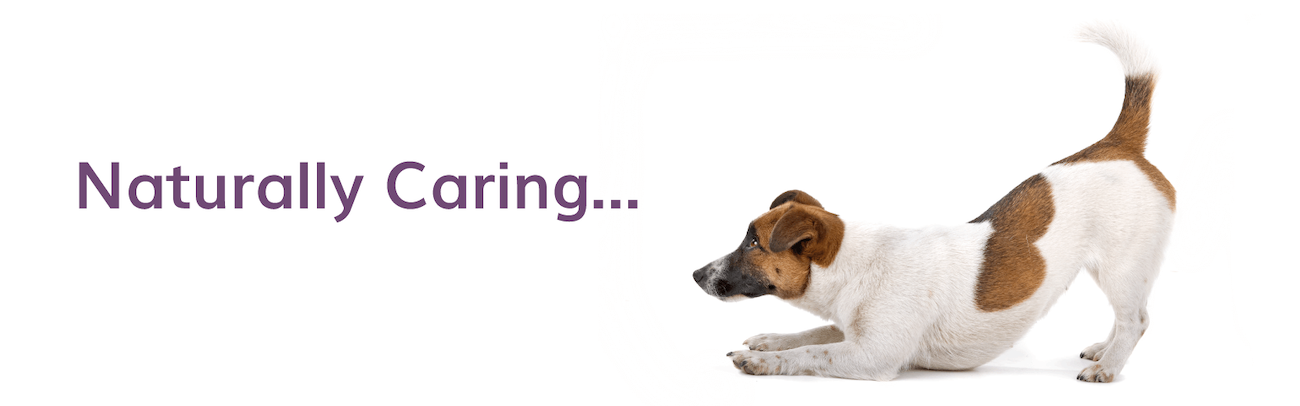 Buy Lillidale Animal Health Supplements 